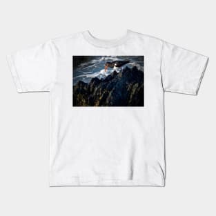 'OH BARNACLES' - SAID THE OYSTERCATCHER! Kids T-Shirt